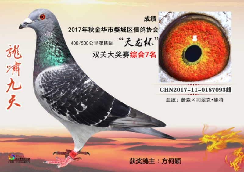 2017��𻪴���ǰ����