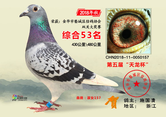 金华市“天龙杯”2018年秋51-70名欣赏
