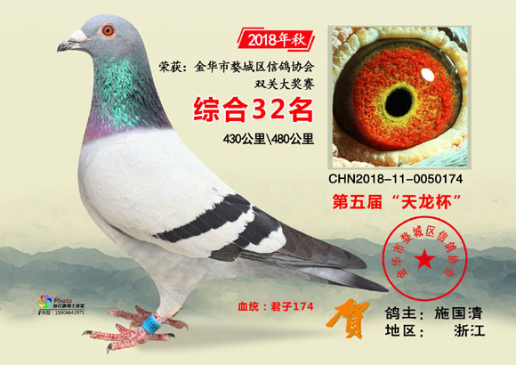 金华市“天龙杯”2018年秋31-50名欣赏