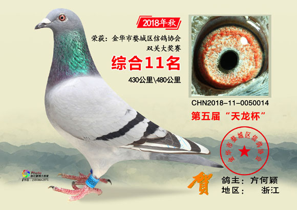 金华市“天龙杯”2018年秋11-30名欣赏