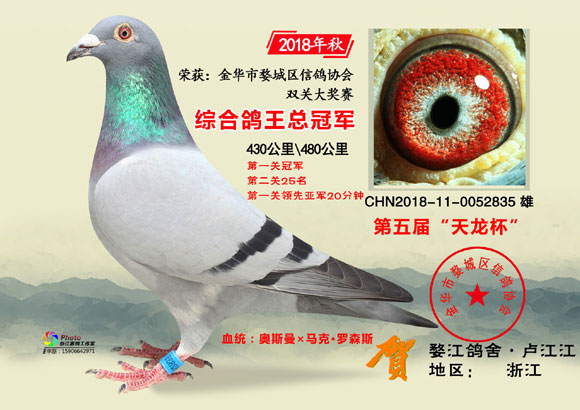 金华市“天龙杯”2018年秋前10名欣赏
