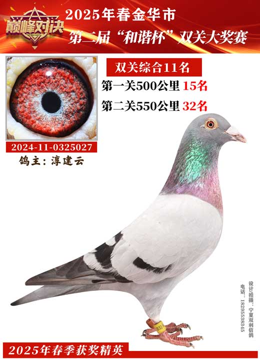 2025еڶ조г˫ش񽱸루