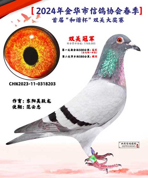 2024д׽조г˫ش񽱸
